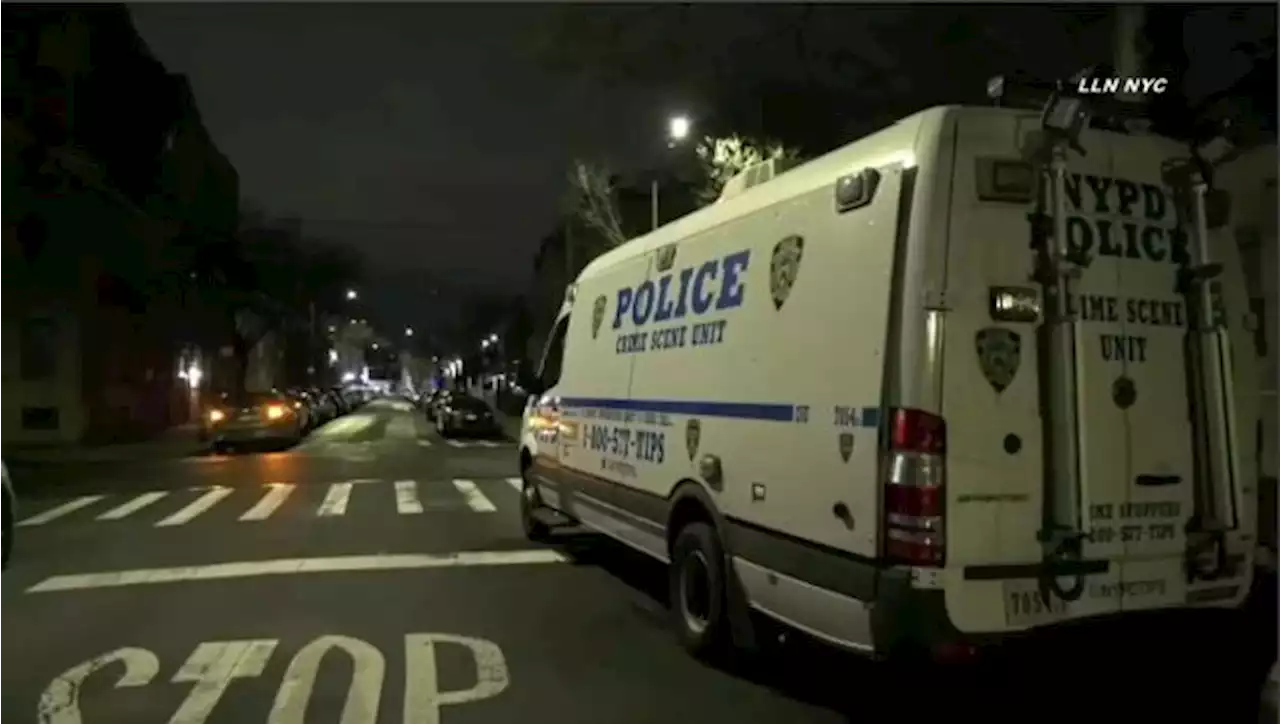 Crowd Chases Mercedes Benz Driver to NYPD Precinct After Pedestrian Hit