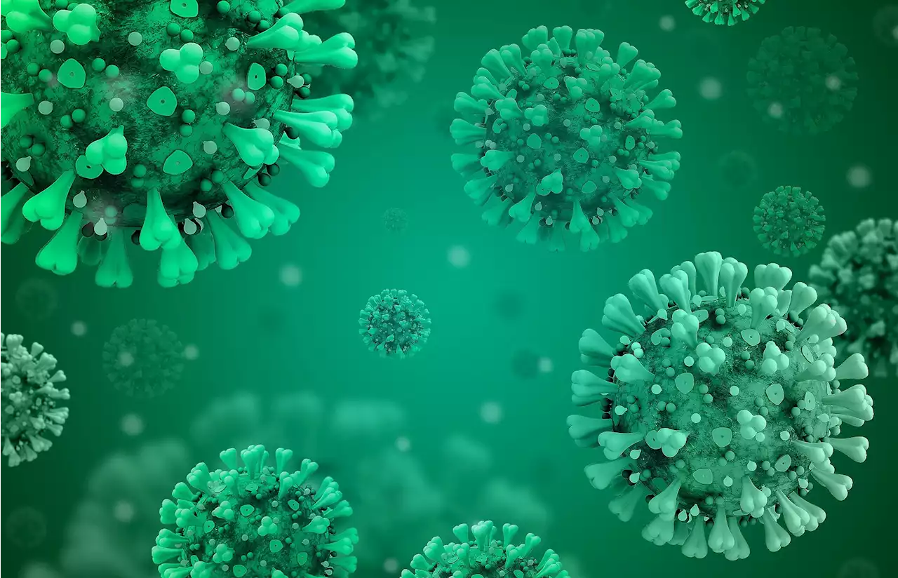 Researchers identify potential target for developing broad-spectrum antiviral therapies