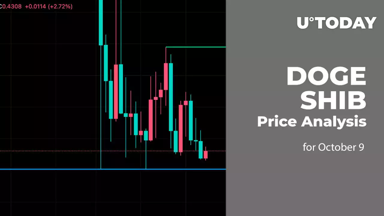 DOGE and SHIB Price Analysis for October 9