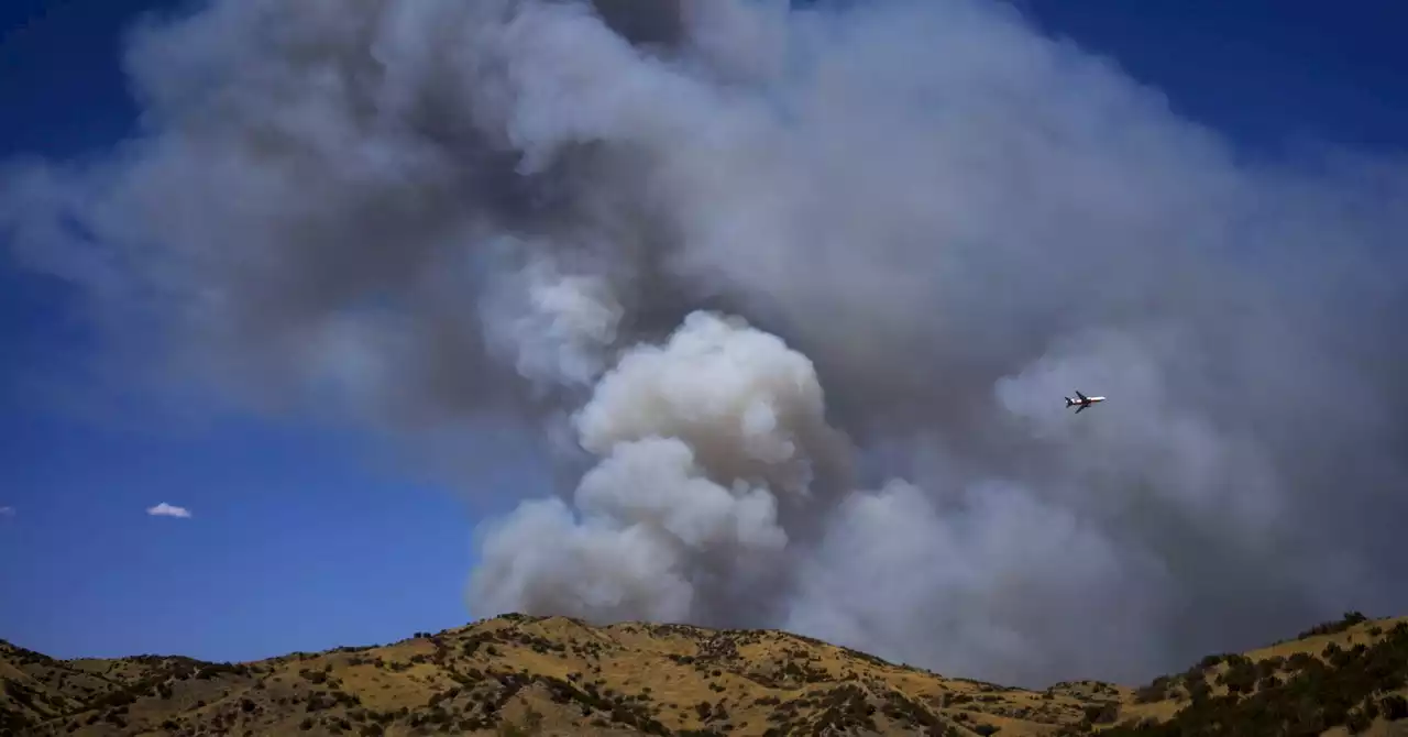 Wildfire Smoke May Carry Deadly Fungi Long Distances