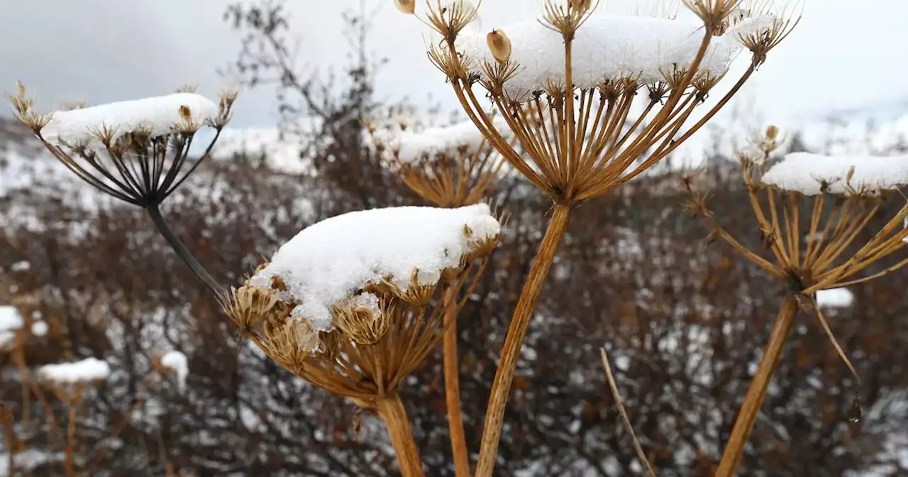 First snow of the season expected today at lower elevations in Anchorage and Mat-Su