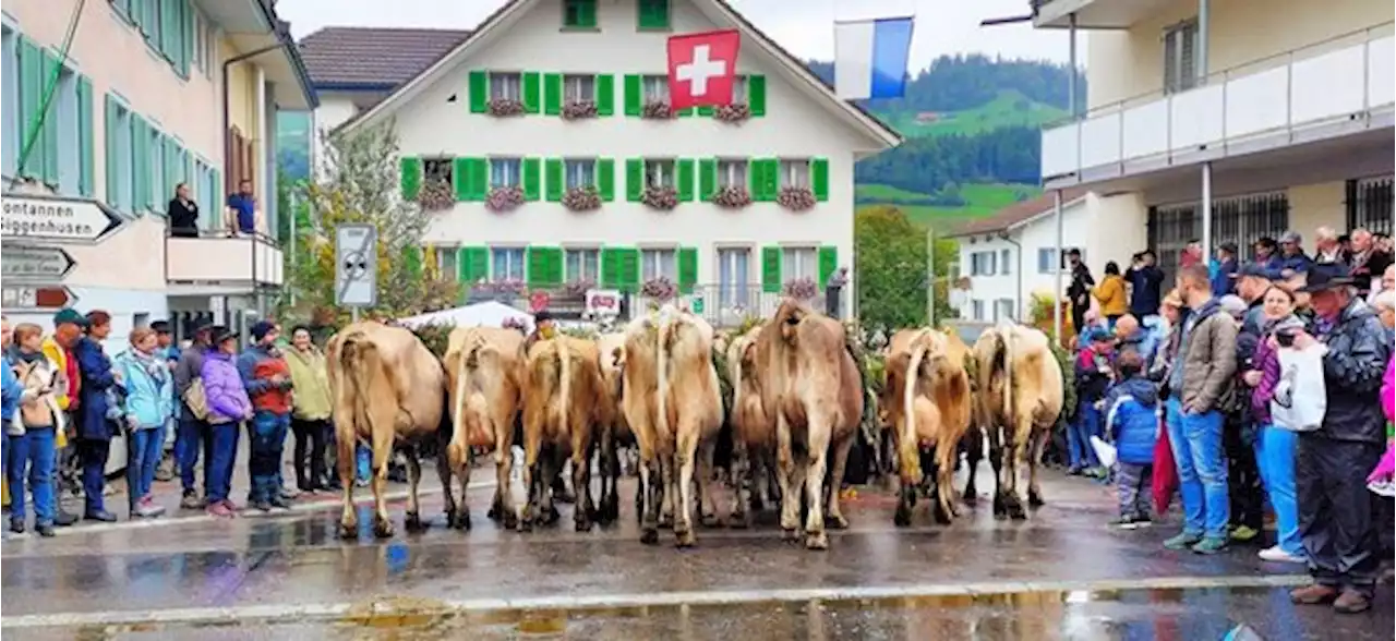 «Die Älpler übergeben dankend die Bergen dem Winter» - bauernzeitung.ch