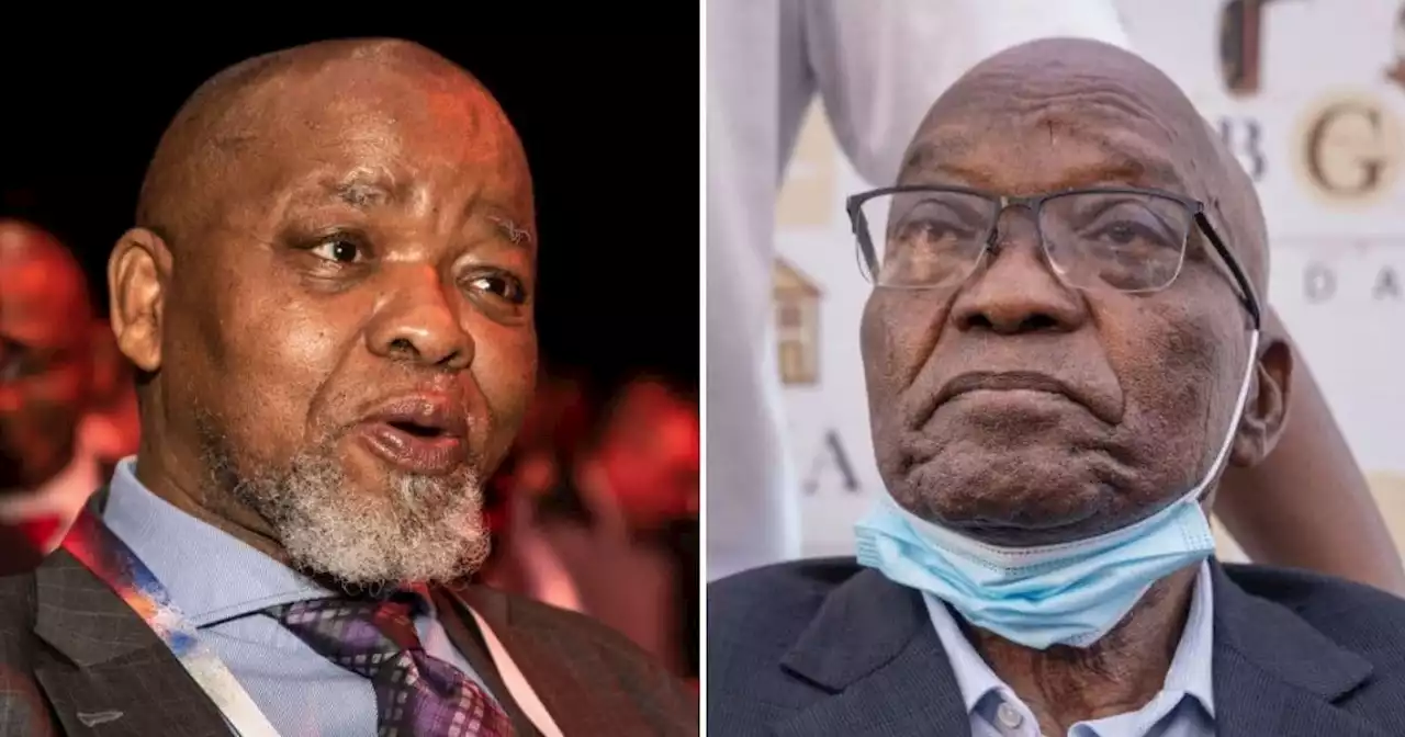 'Especially you': SA says Mantashe should take his advice to Zuma and retire too