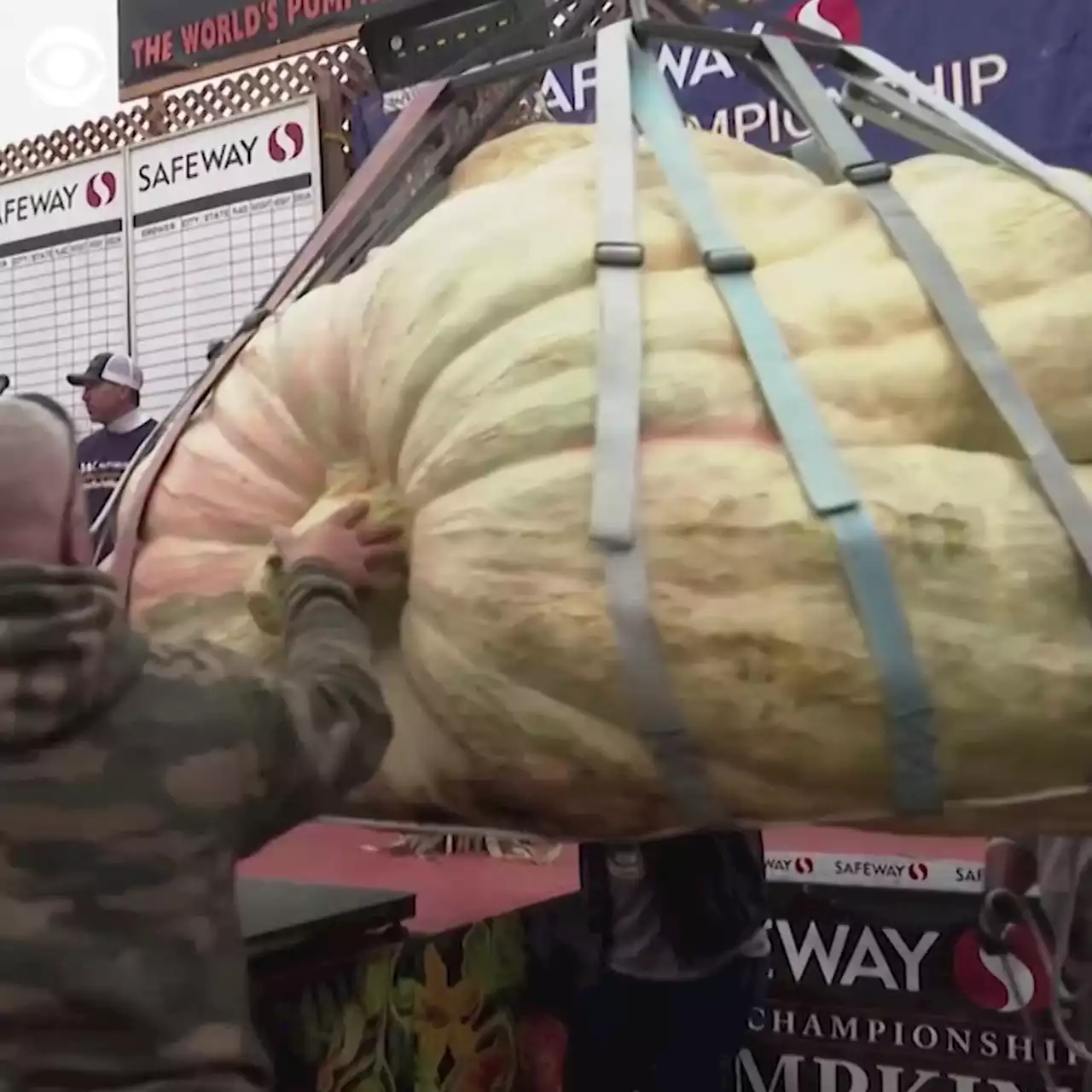 Massive 2,560-pound pumpkin raised by Minnesota horticulture teacher breaks U.S. record