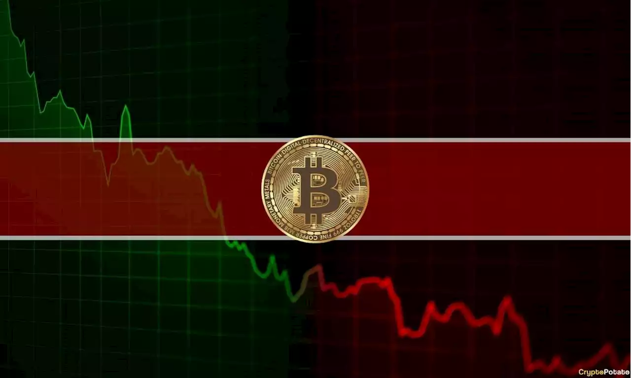 Bitcoin Dipped Below $19K as Negative Sentiment Grows (Market Watch)