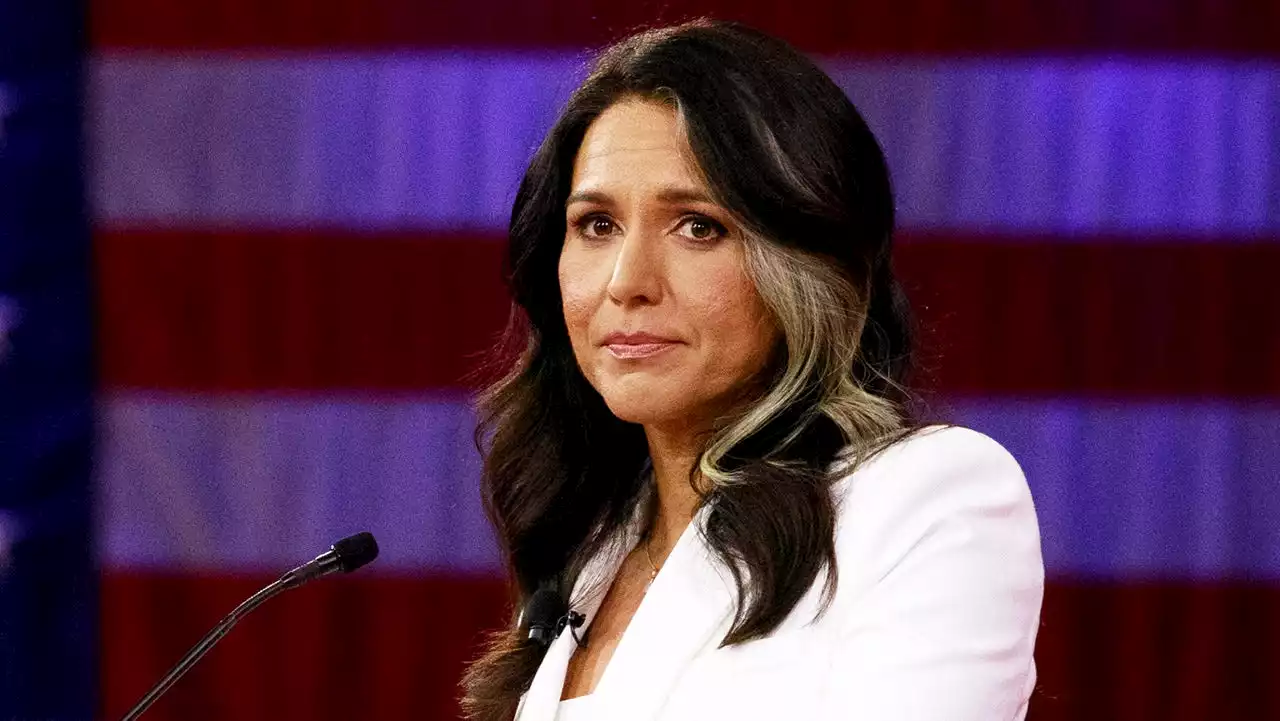 Left and right celebrate Tulsi Gabbard leaving Democratic Party: 'Winning'