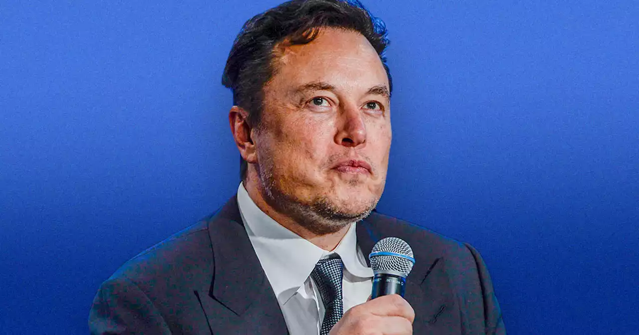 Professor of Engineering Issues Brutal Dig at Elon Musk, Sparking Backlash