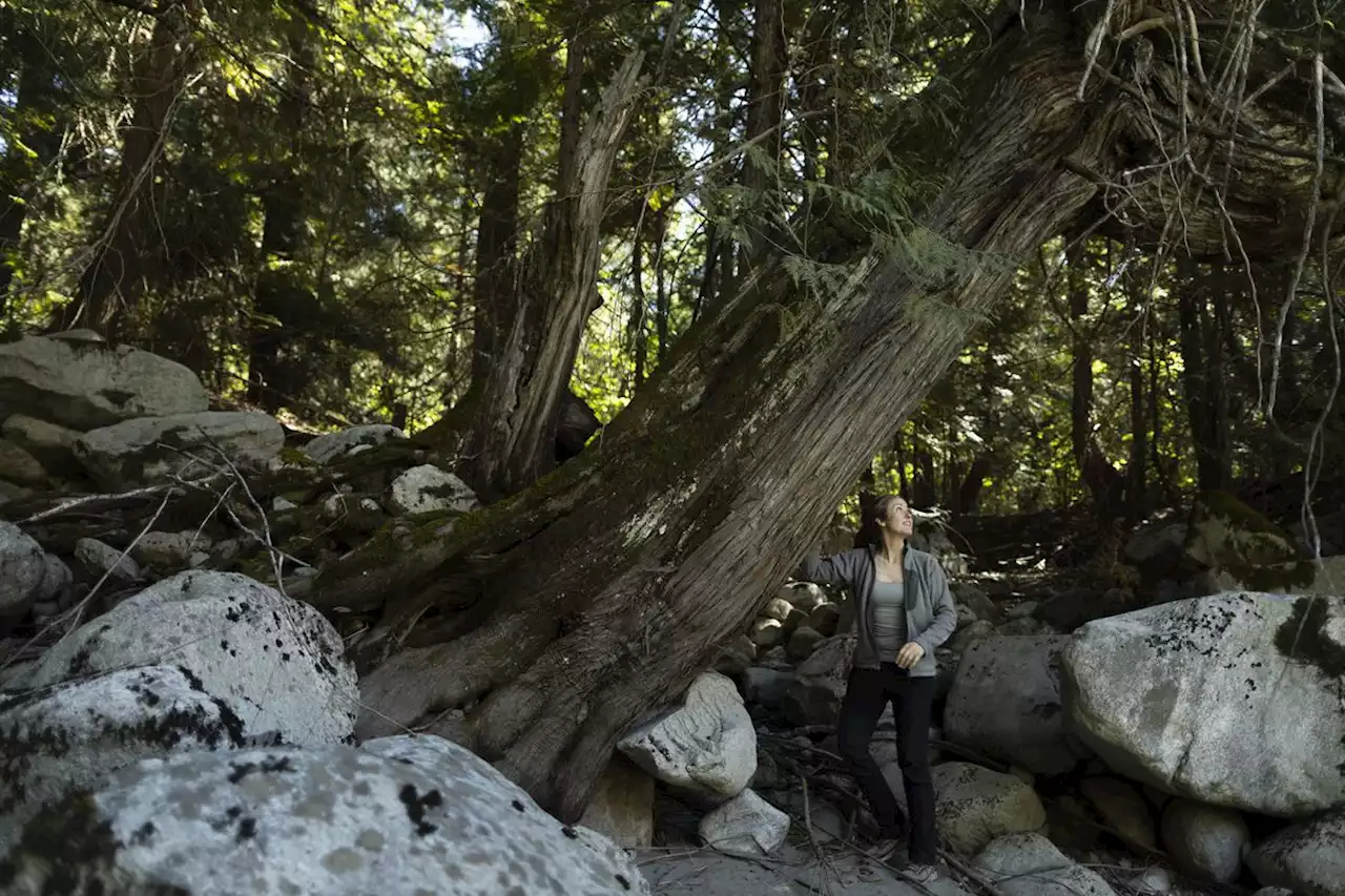 B.C. Indigenous conservation plan gets private backing