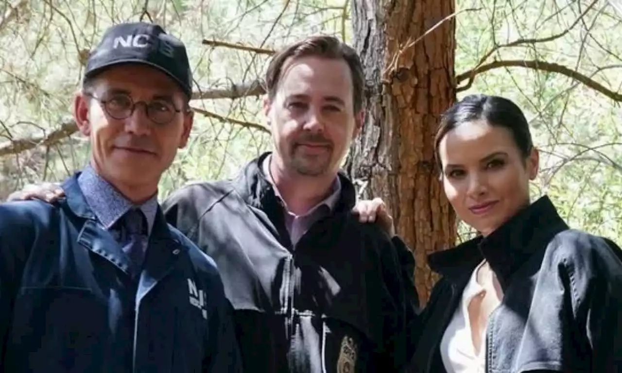 NCIS fans divided over major season 20 storyline - here's why