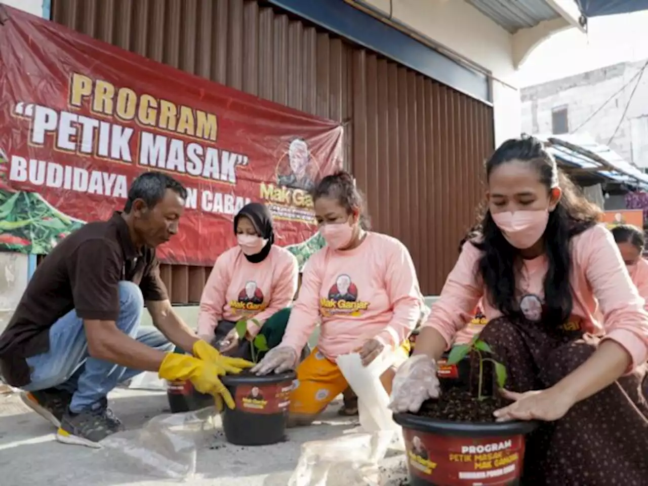 Lewat Program Petik Masak, Relawan Ganjar Beri Bantuan 400 Bibit Cabai