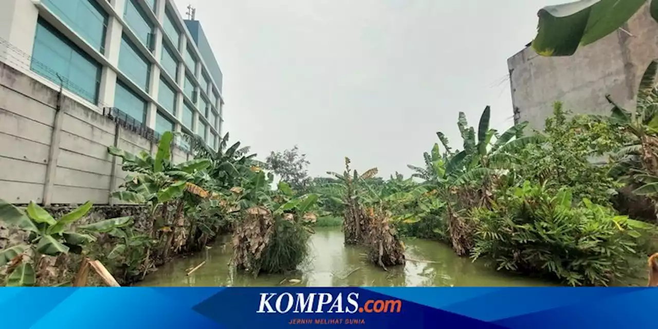 Video Viral Diduga Aksi Pedofil di Empang di Kalideres, Polisi Minta Orangtua Korban Melapor