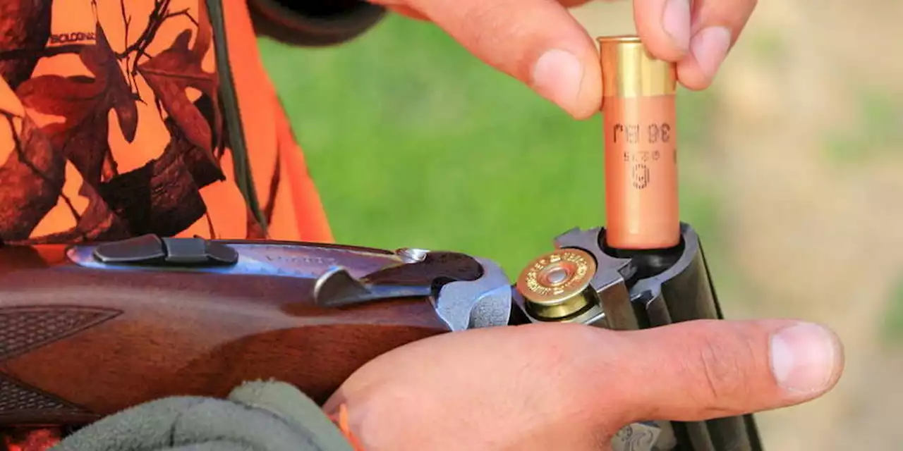 Dans le Rhône et la Drôme, deux accidents de chasse en une journée