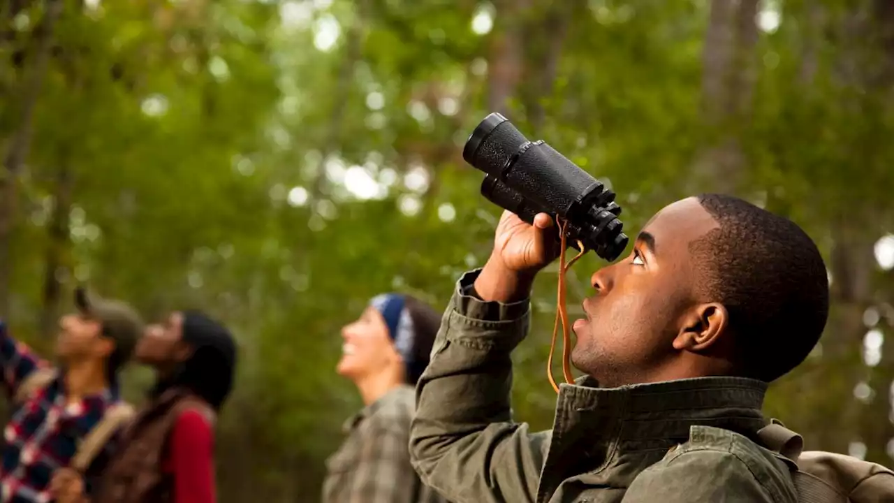 Best binoculars 2022: Our picks for stargazing, bird watching, and observing wildlife