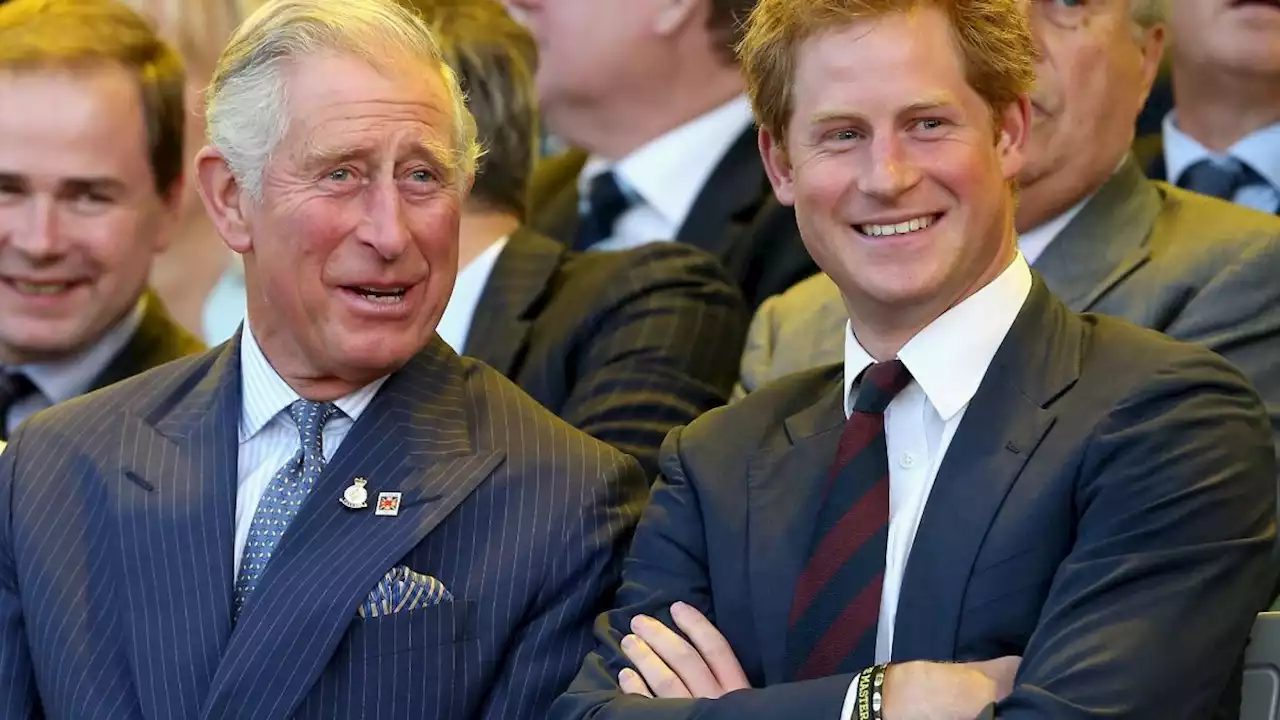 Prince Harry and King Charles' Rift Could Be Due to Changing Attitudes to Duty and Personal Happiness, Psychologist Says