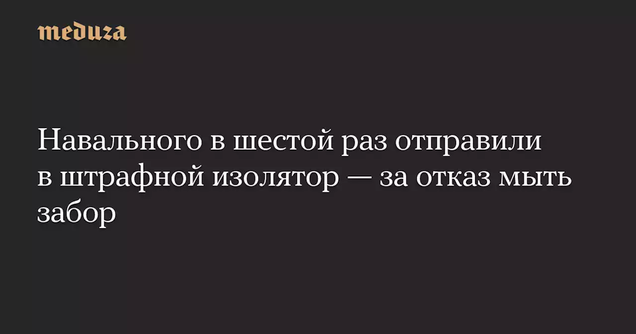 Навального в шестой раз отправили в штрафной изолятор — за отказ мыть забор — Meduza