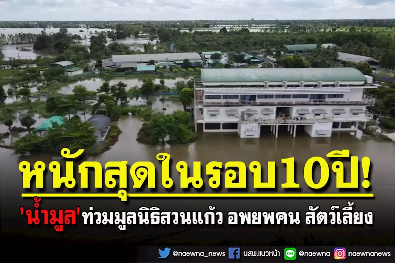 'น้ำมูล'เอ่อท่วมมูลนิธิสวนแก้วของ 'พระพยอม' เร่งอพยพคน สัตว์เลี้ยงขึ้นที่สูง