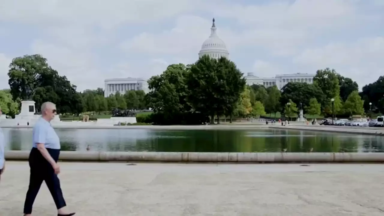 75-Year-Old Dedicates Lifetime to Fighting for Migrants, Healthcare Equality Rights