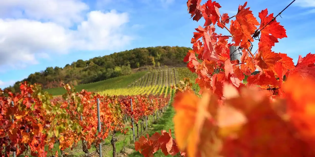 Ungewöhnliches Wetter-Phänomen im Oktober: Extrem warme Luftmassen rollen an