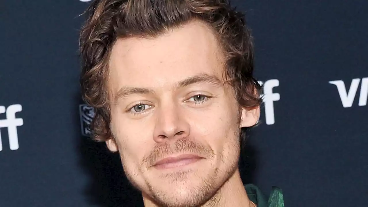 Wilde Fantheorie: Hat Harry Styles eigentlich eine Glatze?