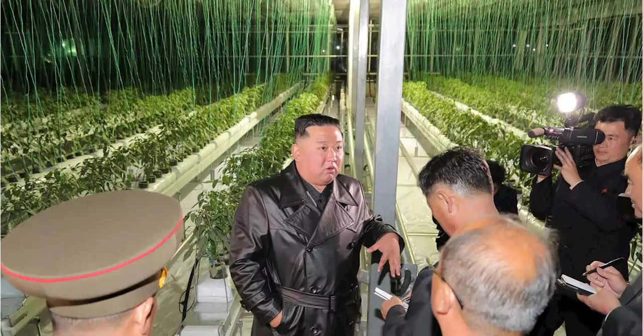 N.Korea's Kim touts new large greenhouse farm built on ex-missile test site