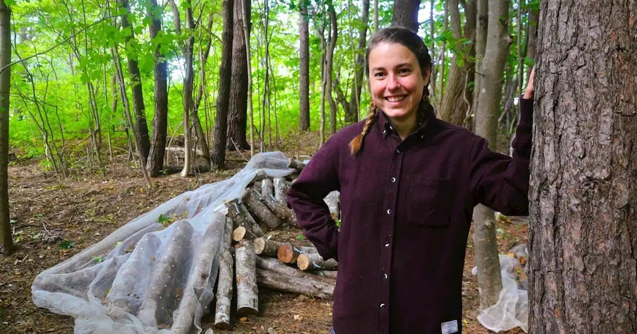 Mushroom festival in Nictaux, N.S., looks into mysterious, 'unseen world' | SaltWire