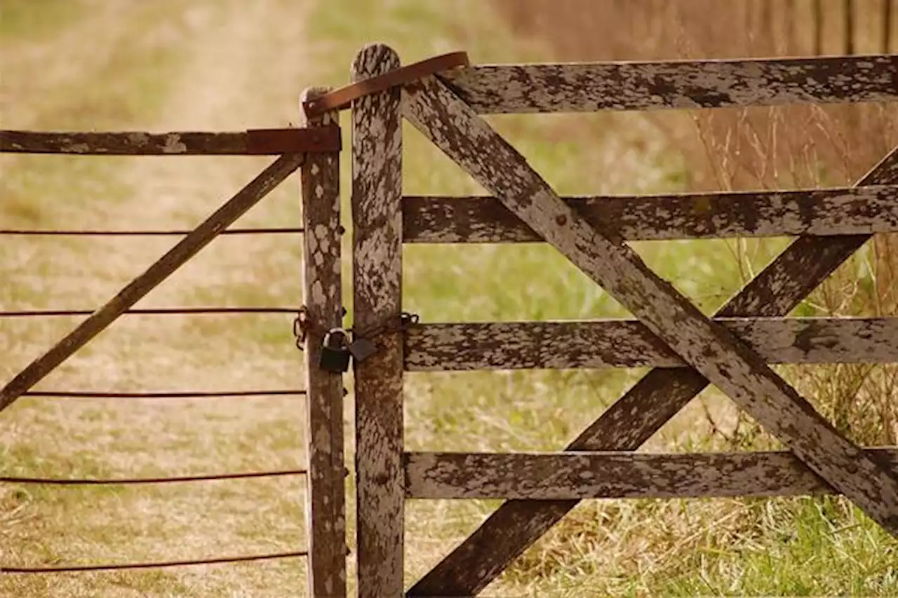 Planned farm attack foiled, 5 suspects arrested, Reitz - South Africa Today