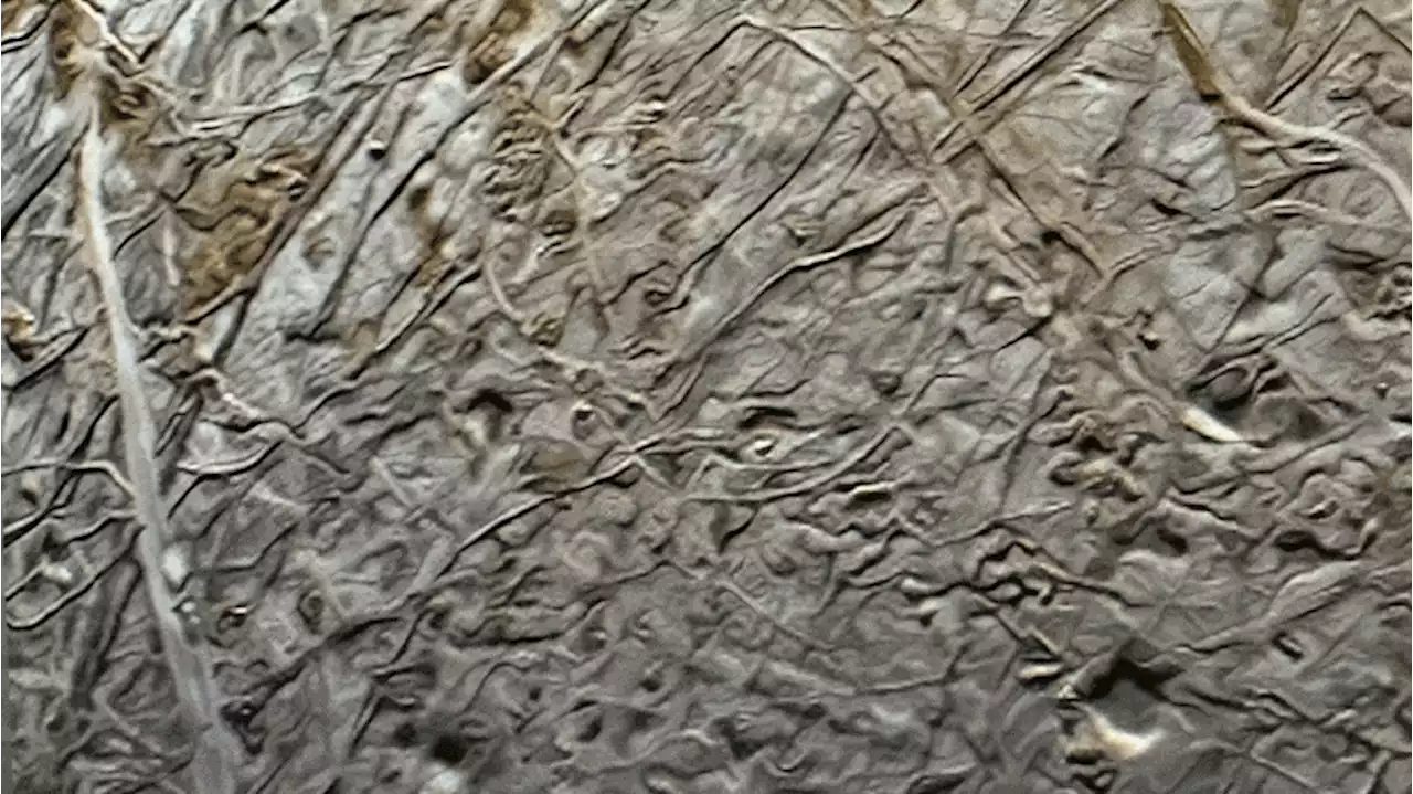 Enhance! Citizen Scientists’ Awe-Inspiring New Europa Images From NASA’s Juno