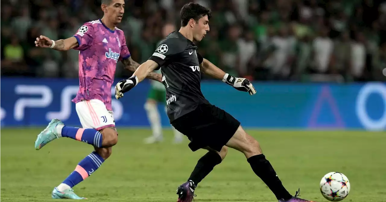 Meet the Bay Area goalie who just led a shocking soccer upset