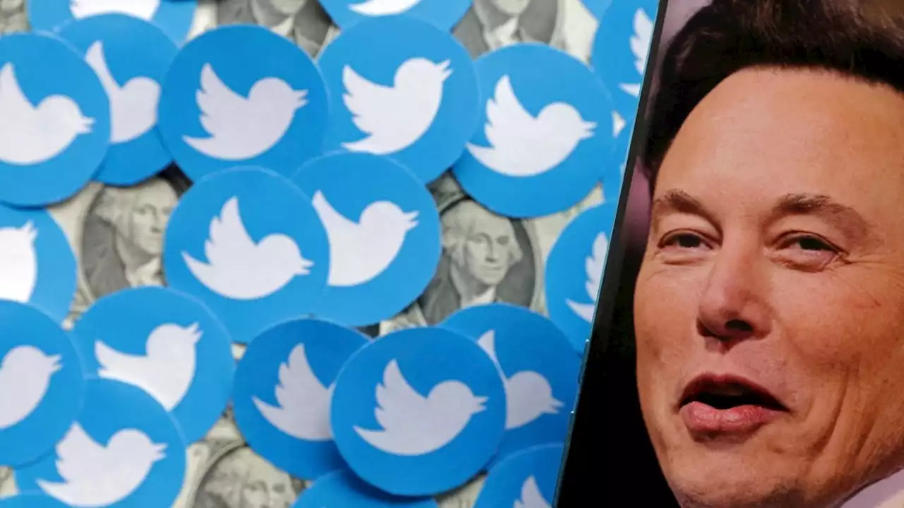 Elon Musk wirft Twitter Beweisvernichtung vor