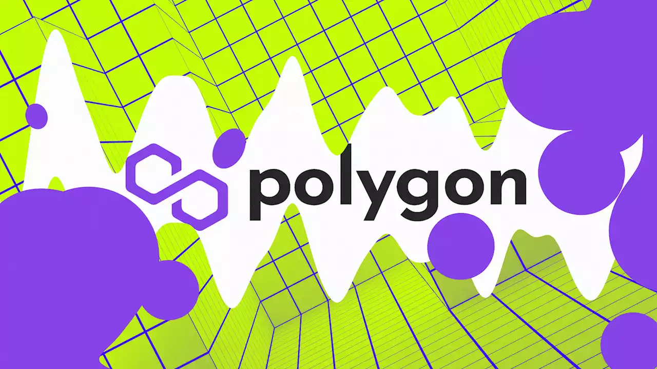 Polygon launches testnet for Layer 2 network Hermez