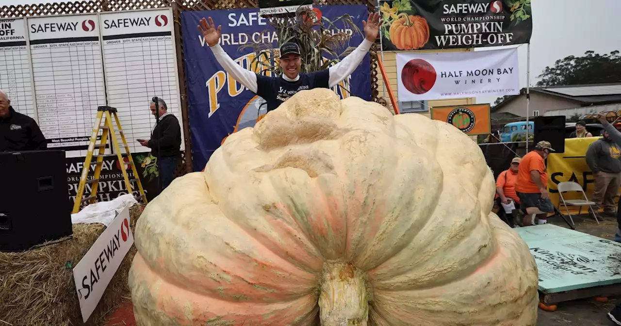 2,560-pound pumpkin wins California contest, sets record