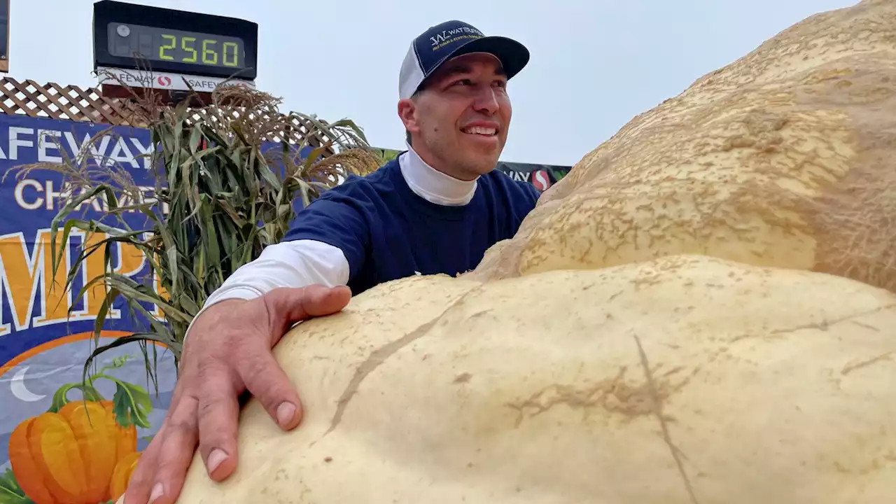 2,560-pound pumpkin wins California contest; sets US record