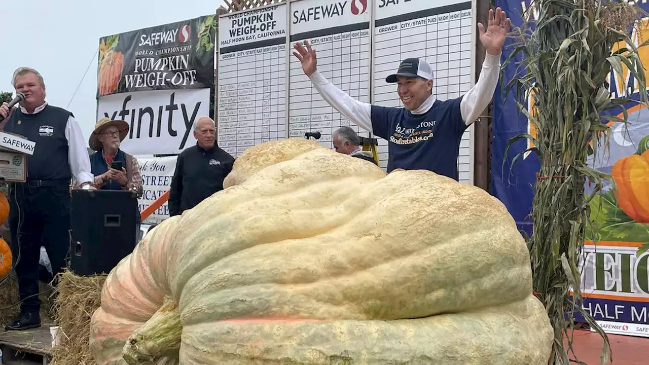 Minnesota teacher grows gigantic 2,560-pound pumpkin, setting new US record