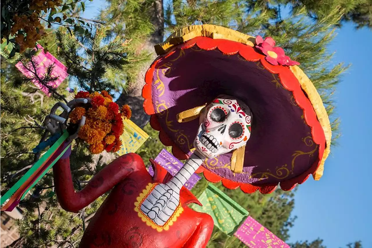 9 Día de Los Muertos Events Around DC