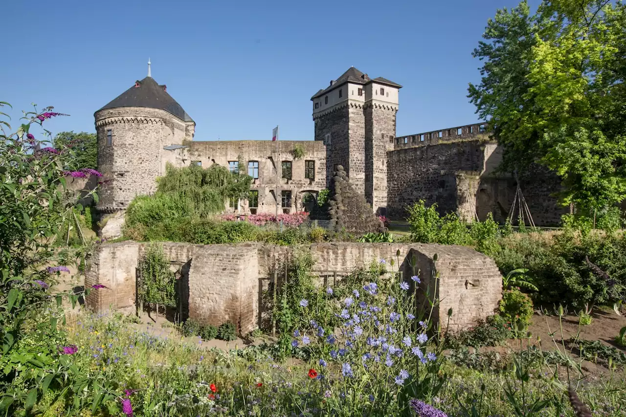 These cities turned parks into orchards where anyone can pick for free