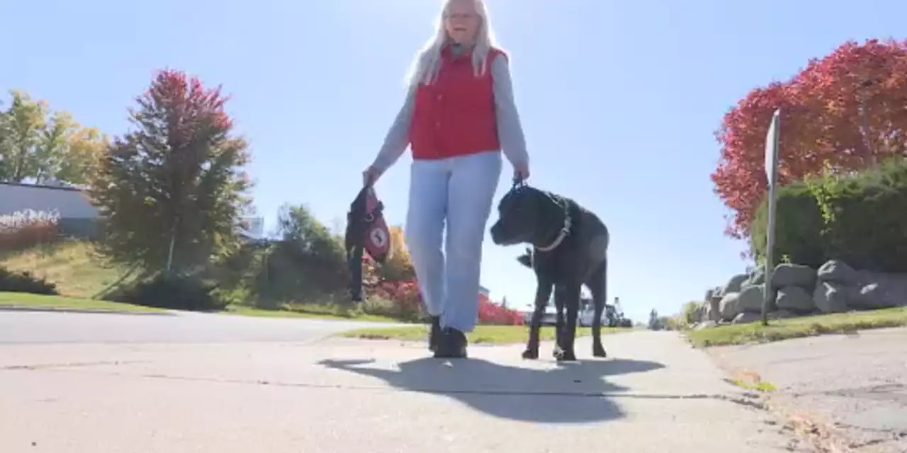 Woman says she can’t find a place to live because she has a service dog