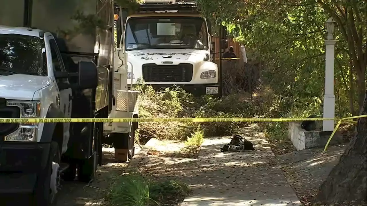 Tree trimmer dies after falling into wood chipper in Menlo Park, police say