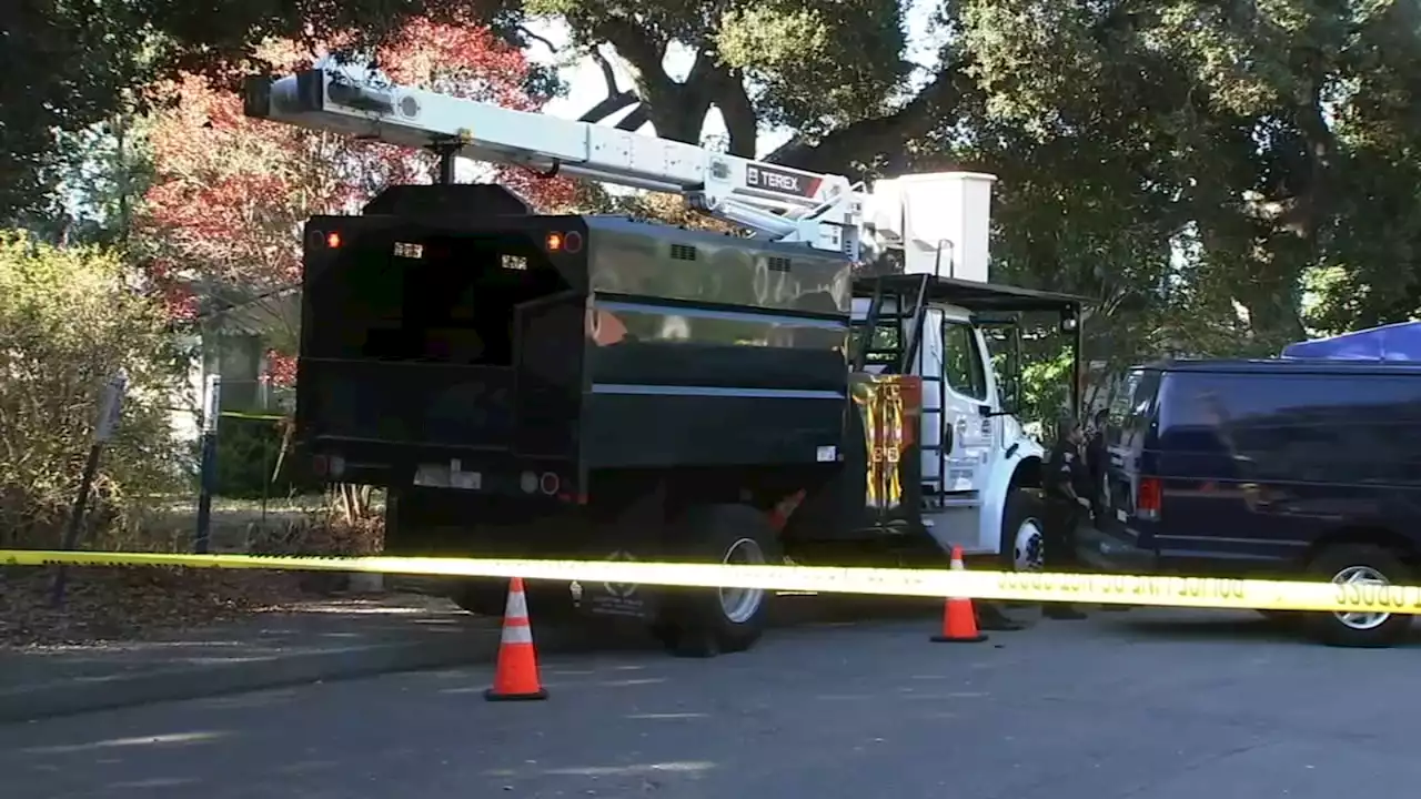 Tree trimmer dies after falling into wood chipper in Menlo Park; Cal/OSHA investigating