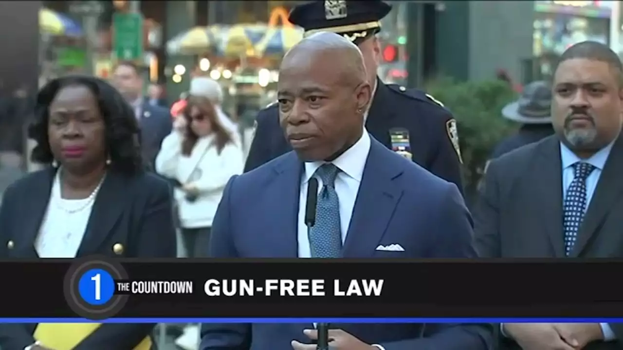 The Countdown: Breaking down new Times Square gun ban bill