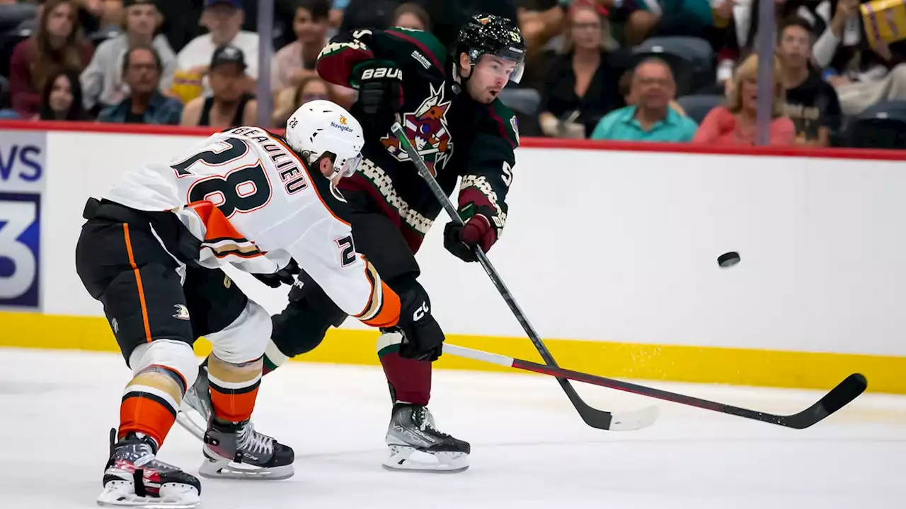 Arizona Coyotes feeling more confident in this year's team ahead of season opener