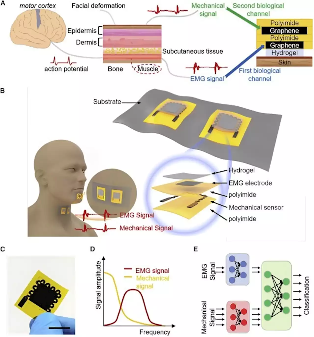 Graphene-Based Sensors Developed for Speech Recognition