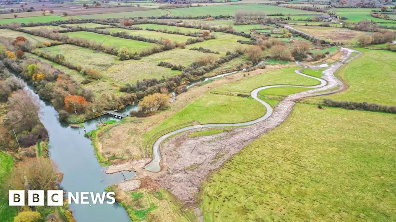 Chimney Meadows Nature Reserve: Channel reopens river to wildlife