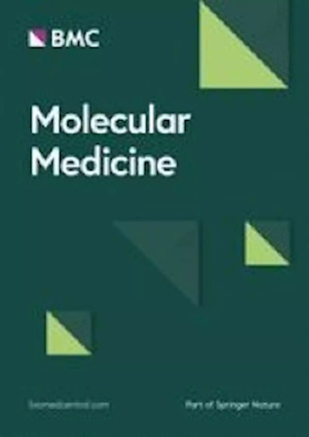 Elevated vascular transformation blood biomarkers in Long-COVID indicate angiogenesis as a key pathophysiological mechanism - Molecular Medicine