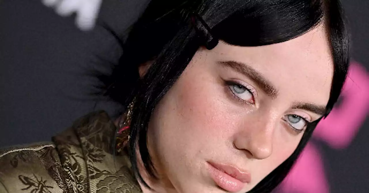 Billie Eilish Receives Environmental Award Despite Family Owning Multiple Properties, Including Horse Ranch, and Malibu Beach House