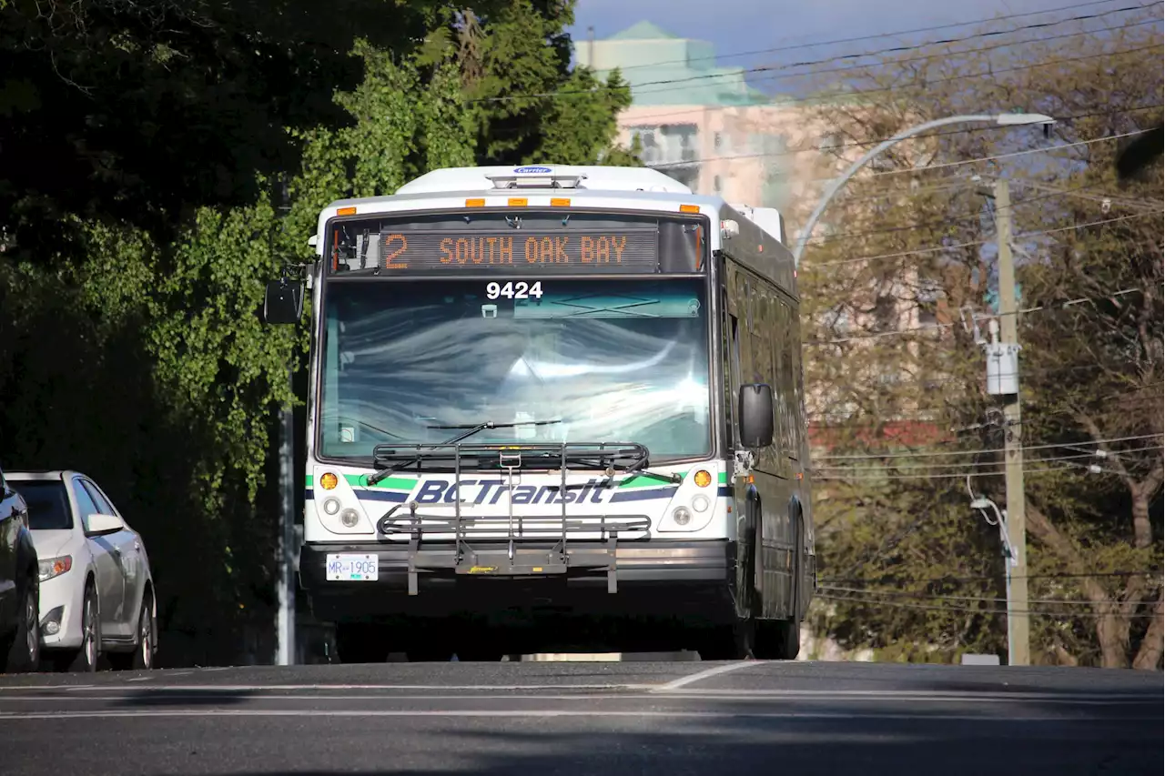 BC Transit offering free rides in some Vancouver Island communities on municipal election day