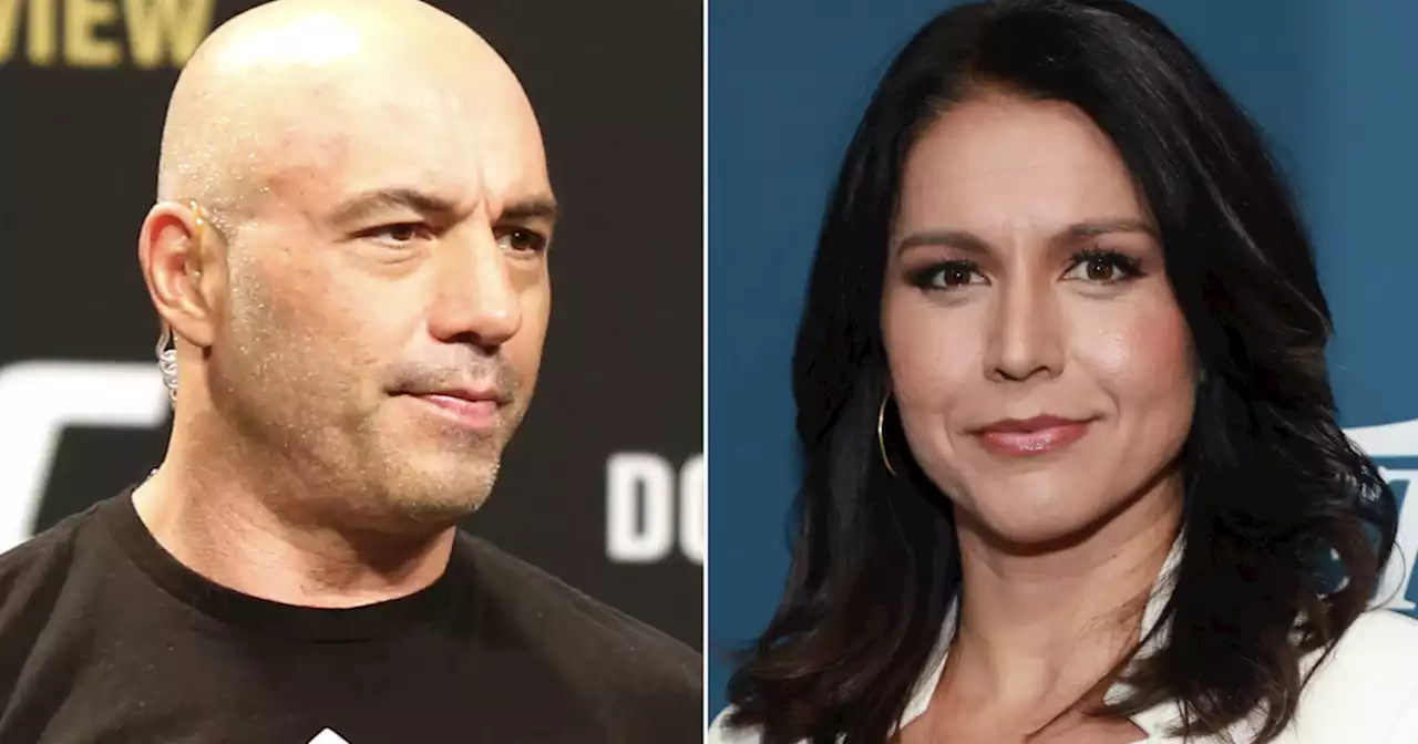 WATCH: Joe Rogan slams 'woke' idea of pregnant men during Tulsi Gabbard interview