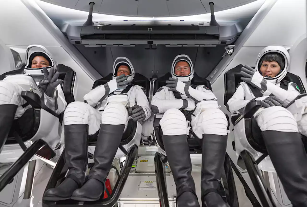 How to watch SpaceX Crew-4 astronauts return to Earth | Digital Trends