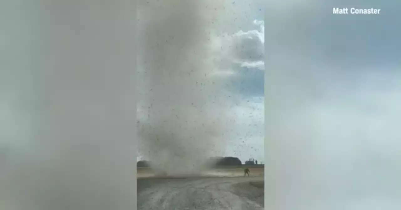 Video captures moment when a mesmerizing dust devil forms in Arkansas