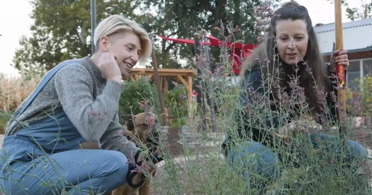 Wasatch Community Gardens teaches how to grow local food — even in a city