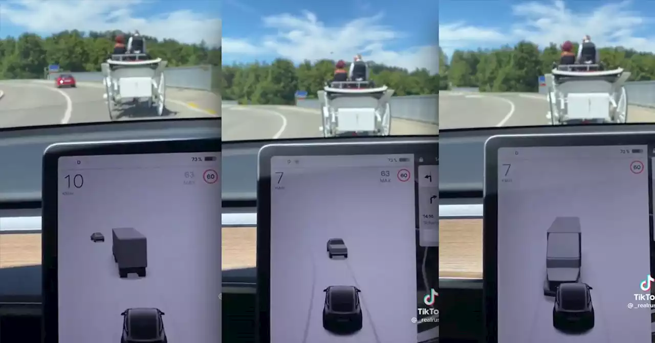 Tesla Mistakes Horse and Buggy for Murderous Semi Truck